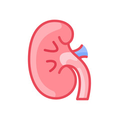 kidney icon design vector template