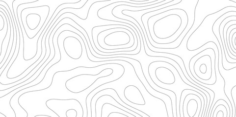 White Vector: Mapping the Contours of Topography and Topology