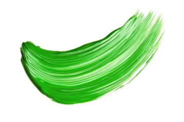 green paint brush stroke isolated on white or transparent png