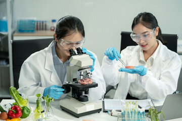 Microbiologist Working on Molecule Samples in Modern Food Science Laboratory, Control experts...