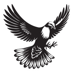 Fototapeta premium Streptopelia Decaocto Clipart - Eurasian collared Dove Silhouette - Eurasian collared dove Landing Illustration in black and white 