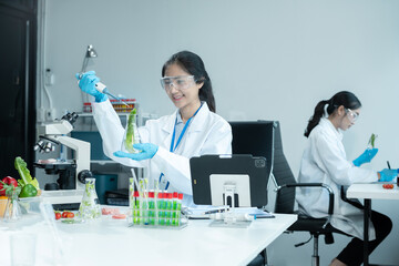 Team microbiologist Looking at a Healthy Green Plant in a Sample Flask. Medical Scientist Working in a Modern Food Science Laboratory with Advanced Technology Microscopes and Computers.