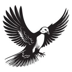 Obraz premium Streptopelia Decaocto Clipart - Eurasian collared Dove Silhouette - Eurasian collared dove stretching wings Illustration in black and white