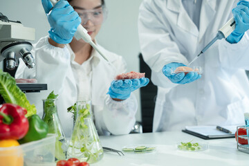 Fototapeta premium Team Microbiologists Analyzing Molecular Samples in Advanced Food Science Laboratory, Dietitian food and medicine.