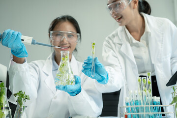 Team Microbiologists Analyzing Molecular Samples in Advanced Food Science Laboratory, Dietitian...