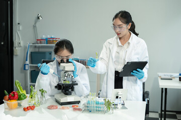 Team Microbiologists Analyzing Molecular Samples in Advanced Food Science Laboratory, Dietitian food and medicine.