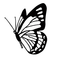 butterfly illustration in transparent png