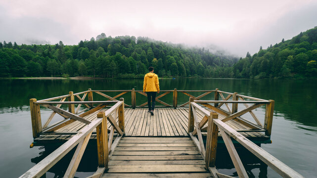 Artvin Karag&ouml;l. A man walking on a wooden pier built to see the view more clearly. The man watches the view in a quiet and peaceful area.