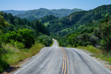 Fototapeta premium road