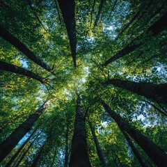 Fototapeta premium The role of corporate responsibility in carbon offset strategies for carbon neutrality.