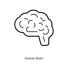 Human Brain