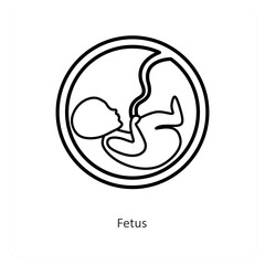 Fetus