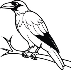 Playful crow on a tree branch line illustration designed for children to color and explore
