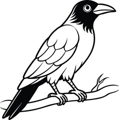 Fun crow perched on a branch line art for kids coloring book perfect for young artists and bird lovers

