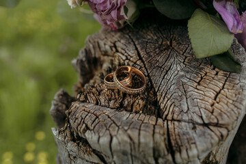 Two gold wedding rings are placed on a log. The rings are set on a wooden stump, and the setting is surrounded by flowers. Concept of love and commitment