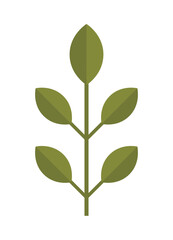 A simple graphic of a green plant with leaves on a white background, representing growth, sustainability, nature, and environmental conservation. Suitable for eco-friendly campaigns.