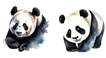 Naklejka premium Charming watercolor illustrations of two adorable giant pandas. The artwork captures the beauty and playfulness of these beloved animals in vibrant detail.