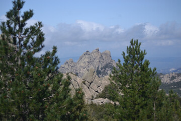 Obraz premium Trekking sui monti del Limbara e nei suoi boschi