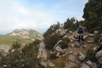 Trekking sui monti del Limbara e nei suoi boschi
