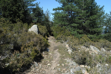 Trekking sui monti del Limbara e nei suoi boschi