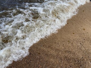 Shore with sea waves, stones, algae and fine sand