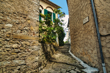 Montauroux town in the Provence region (France)