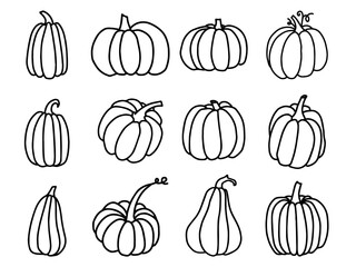 Hand drawn black and white set of pumpkins with twigs and leaves. Cartoon outline of vegetables in doodle style. Symbol of autumn harvest and Halloween. Cute hand drawn pumpkins on white background