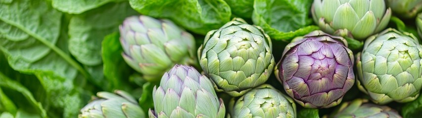 Obraz premium Green and Purple Artichoke Flower Buds Pattern, top view of vibrant artichoke buds against a minimalist background, showcasing their intricate textures and colors in a clean space.