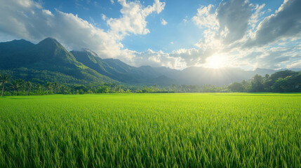 Obraz premium Rice Paddy Field, A vibrant green rice paddy field set against a stunning mountain backdrop, showcasing the natural beauty of rural landscapes and agriculture