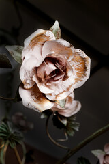 Naklejka premium Chandelier lamp with flowers and metal, Bohemian glass Beautiful exquisite natural motifs with crystals on a black background isolate