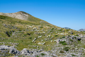 landscape with blue sky
