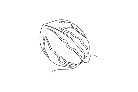 recommend clip art: Single continuous line drawing of whole healthy organic walnut food for plantation logo identity. Fresh nutshell concept for healthy seed icon. Dynamic one line draw graphic design vector illustration