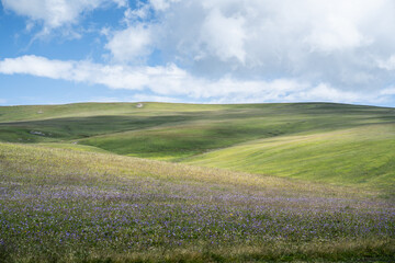 The Blue Sky and White Clouds of Xinjiang Grassland