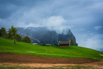Panoramic view of Mount Sciliar from Alpe di Siusi in the Dolomites in South Tyrol, Italy.