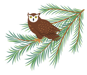 Hand drawn tawny horned owl sitting on spruce branch. Cute bird of prey resting on pine tree. Isolated vector illustration