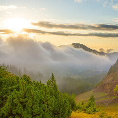 misty mountain valley in light of evening sun