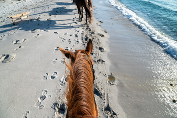 riders view of the neck of a horse on the beach