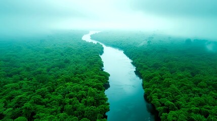 Aerial View of a River Winding Through a Lush Green Rainforest