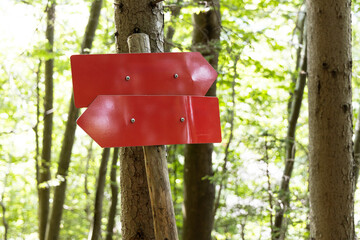 red pointer with two arrows attached to a tree in the forest. The surroundings include lush greenery and trees that filter the sunlight. One arrow points to the left, the other to the right, creating 