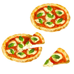 マルゲリータ　ピザのイラスト