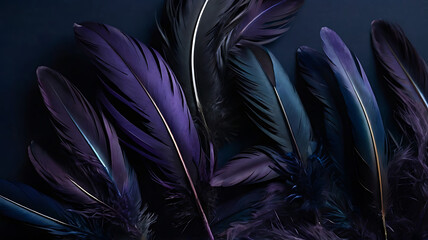 Obraz premium an image of a bunch of dark purple and black feathers with a mysterious aura, arranged on an isolated plain deep navy blue background.