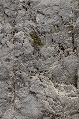 rock surface with many spots, cracks and different textures. The stone has a gray-beige hue interspersed with darker and lighter areas. Traces of weathering and erosion are visible throughout the surf