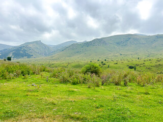 landscape is beautiful nature background