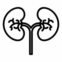 Kidney icon
