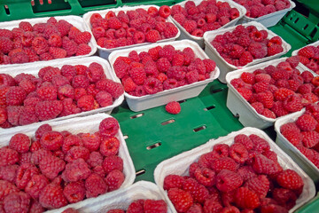 Fresh Raspberry Fruit in Eco-Friendly Containers at Farmers Market - Perfect for Summer Recipes and...