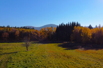 Autumn Landscape with Forest and Meadow in Sunshine - Tranquil Nature Scene for Print or Poster