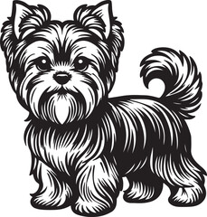 Yorkshire Terrier Dog Standing Stylized Vector Illustration