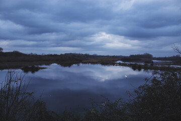 vista panoramica sul lago di un'area naturale di palude fluviale, di sera, sotto un cielo completamente nuvoloso e dalle sfumature di colore grigio e blu