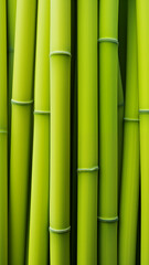 Fototapeta premium Vivid close-up of vibrant green bamboo stalks tightly clustered, showcasing the natural texture and structure of bamboo in a minimalist, nature-inspired composition