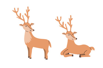 Reindeer flat cartoon illustration. Cute animal deer standing and sitting. Isolated object. Forest childrens animal for decorations, greeting card.